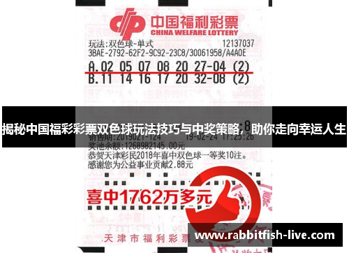 揭秘中国福彩彩票双色球玩法技巧与中奖策略，助你走向幸运人生
