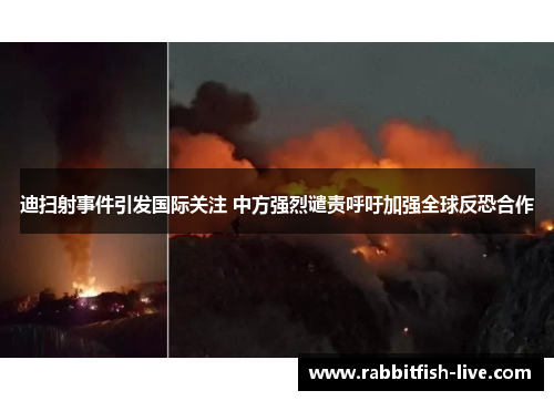 迪扫射事件引发国际关注 中方强烈谴责呼吁加强全球反恐合作